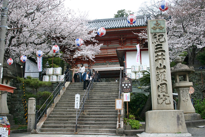 wakayama nguoi dep ngu cua Nhat Ban