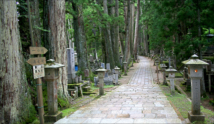 wakayama nguoi dep ngu cua Nhat Ban