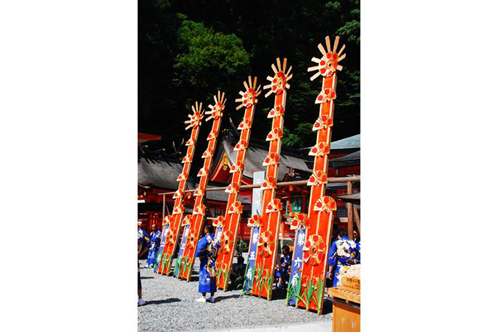 wakayama nguoi dep ngu cua Nhat Ban