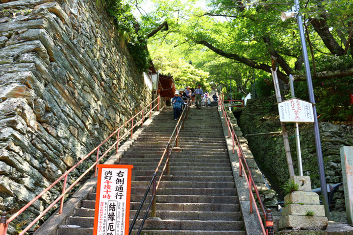 wakayama nguoi dep ngu cua Nhat Ban