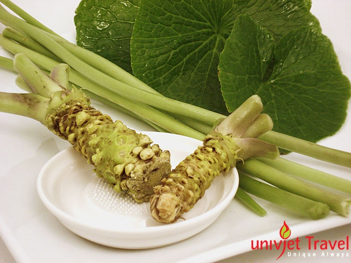 nong trai wasabi nhat ban