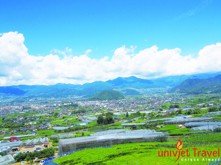 Yamanashi – Thiên đường trái cây Nhật Bản