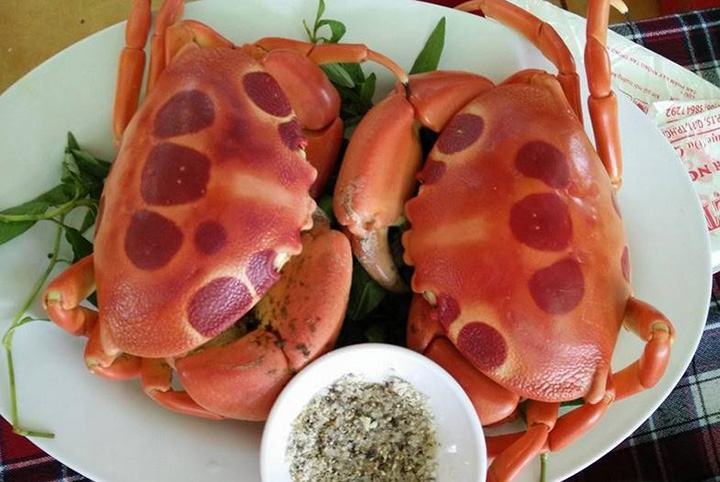 du lich con dao nhung dieu can biet