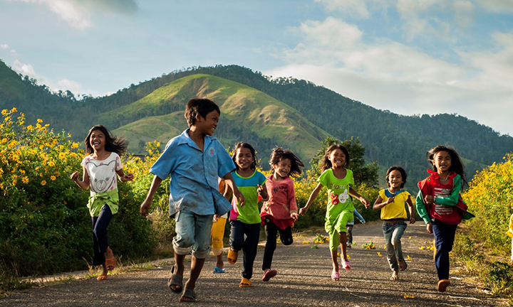 da lat mua hoa da quy