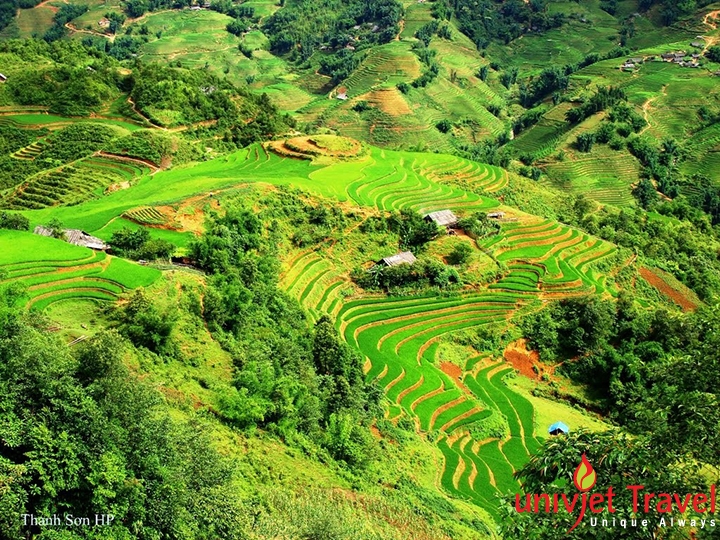 điện biên