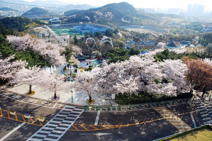 DU LỊCH DAEGU- HÀN QUỐC - Univiet Travel - Unique Always