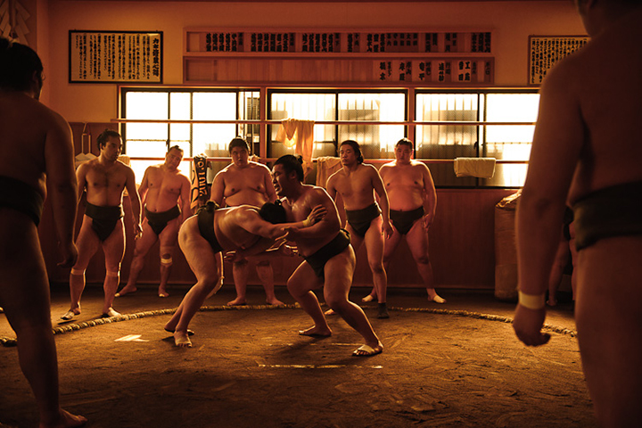 sumo nhat ban