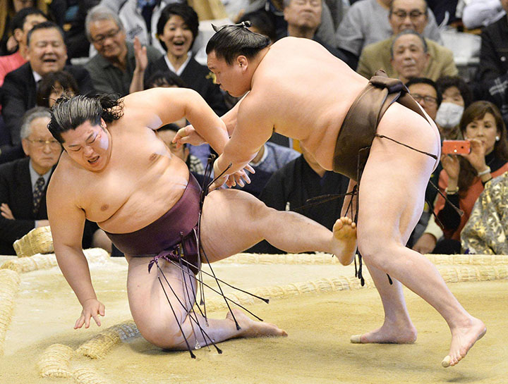 sumo nhat ban