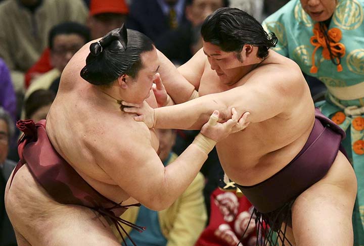 sumo nhat ban