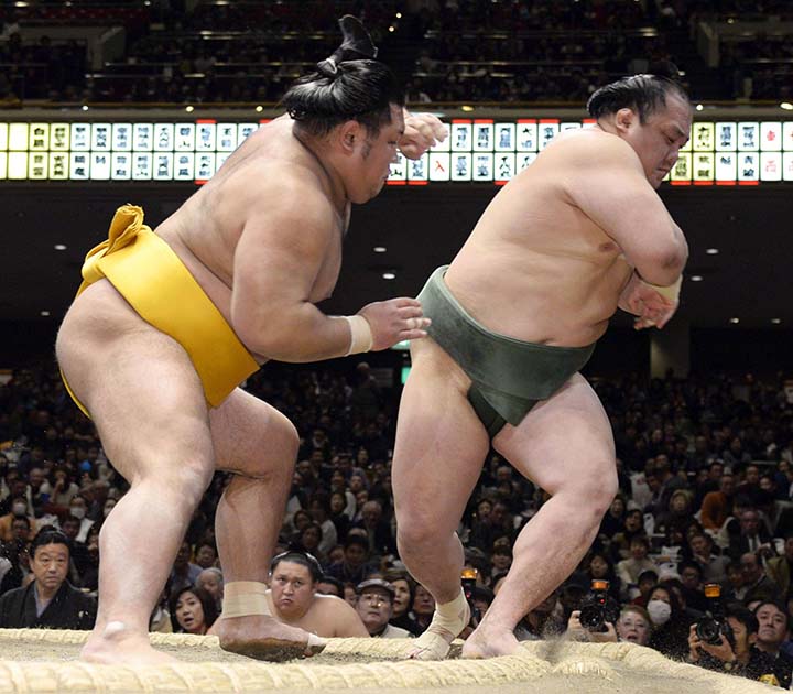 sumo nhat ban