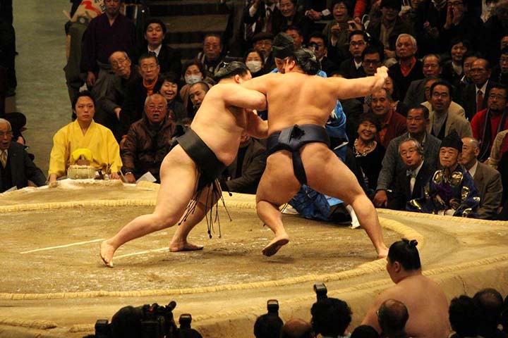 sumo nhat ban