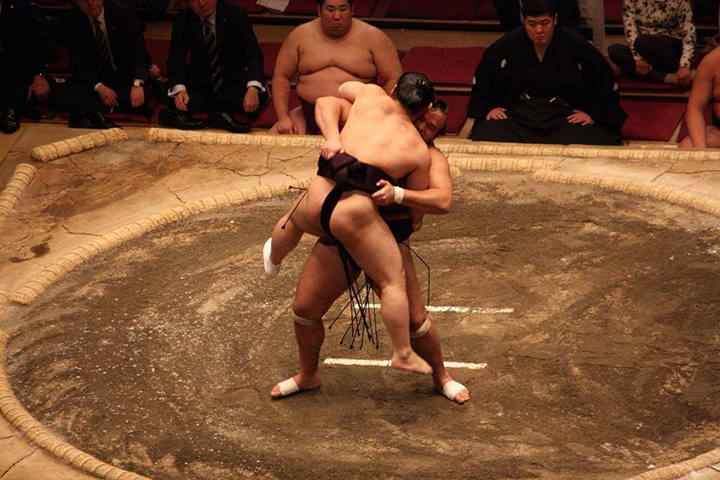 sumo nhat ban