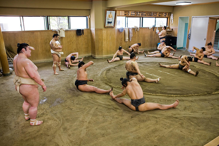 sumo nhat ban
