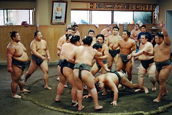 sumo nhat ban