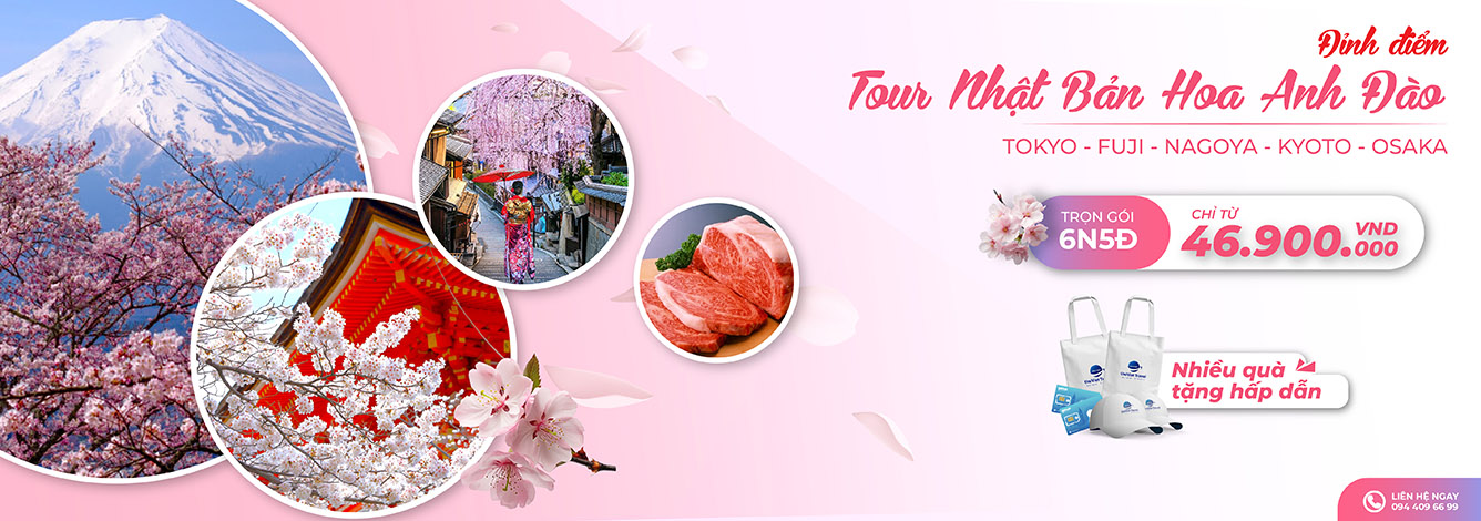 Japan Sakura