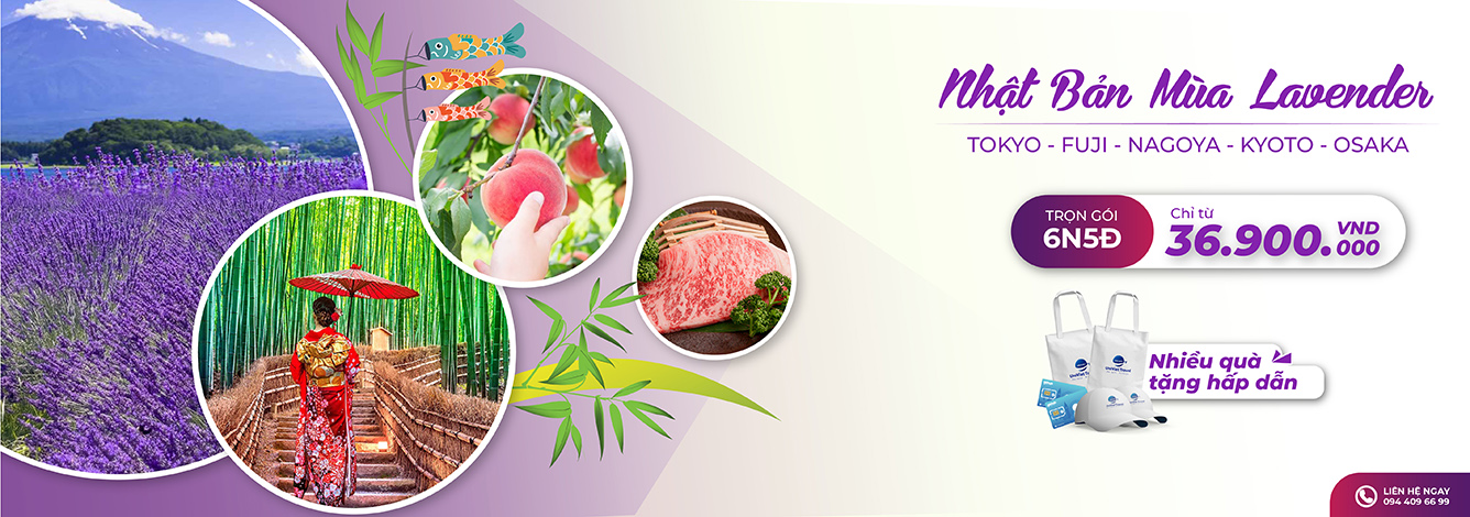 Japan Summer Lavender