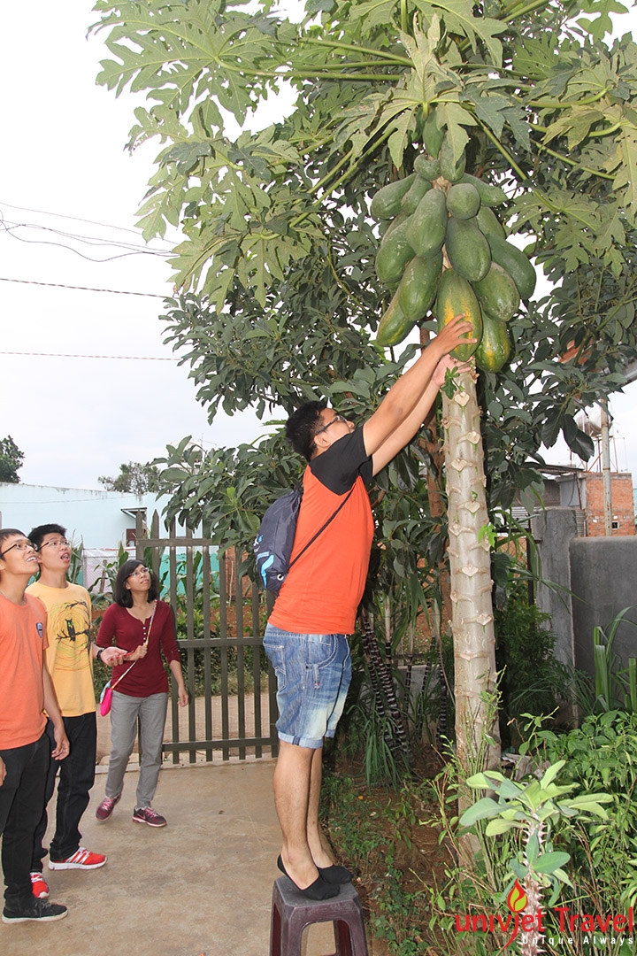 team builing thach thuc ban nang