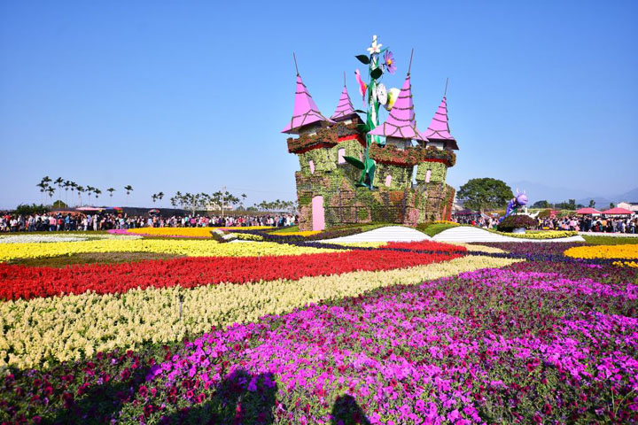 KHÁM PHÁ LỄ HỘI HOA ĐÀI TRUNG 2019