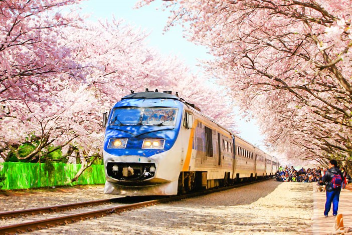 TOUR HÀN QUỐC - SEOUL – YEOUIDO – NAMI - SEOUL (5N4D) 14,9/04/2018