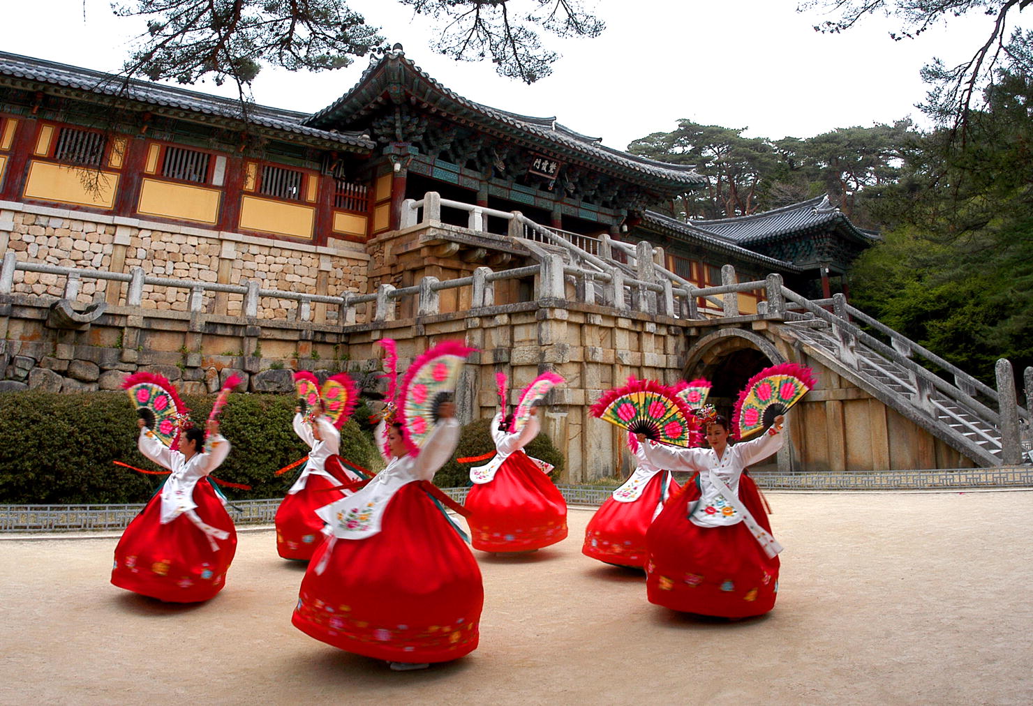 TOUR HÀN QUÔC - SEOUL-NAMI-PAJU-GINSENGFARM (Thứ 4 hàng tuần)