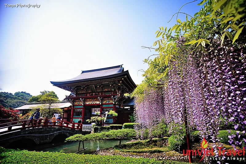 Du Lịch Nhật Bản - Fukuoka Yutoku iinari shrine