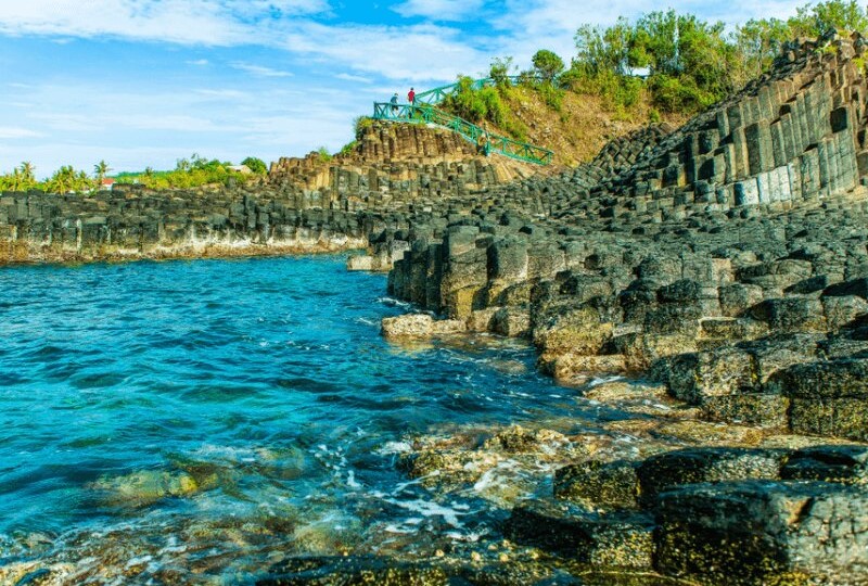 TOUR PHÚ YÊN - HOA VÀNG TRÊN CỎ XANH