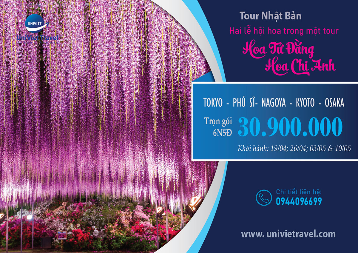 TOUR NHẬT BẢN MÙA HOA TỬ ĐẰNG - HOA CHI ANH
