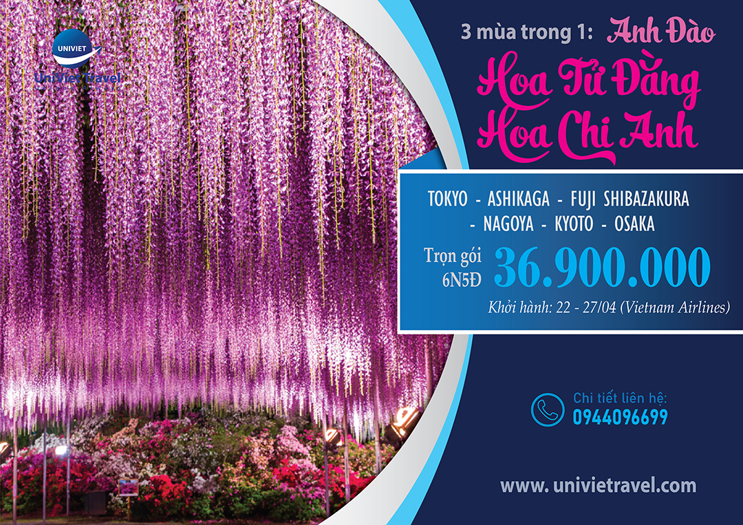 TOUR NHẬT BẢN MÙA HOA TỬ ĐẰNG - HOA CHI ANH