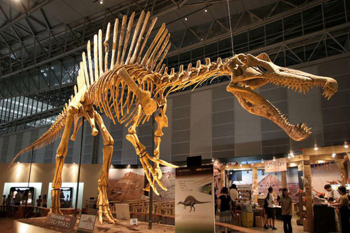 Bảo tàng khủng long