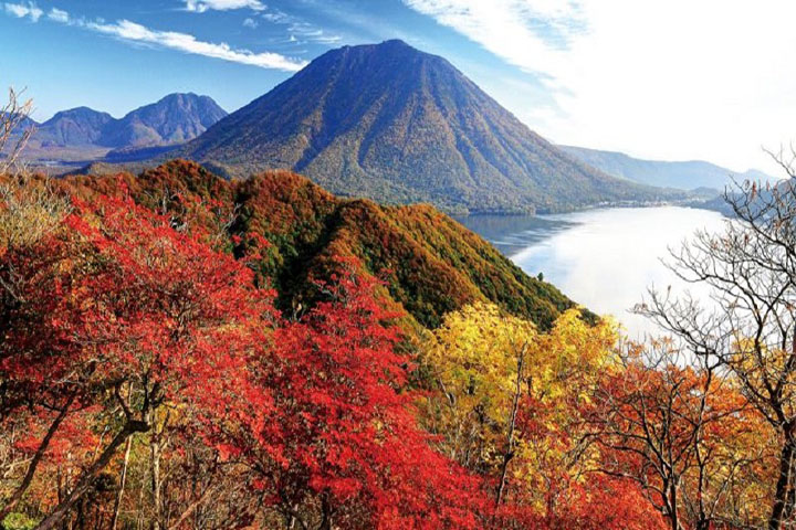 THU VÀNG NHẬT BẢN - FUJI – TOKYO - NIKKO 5D4N