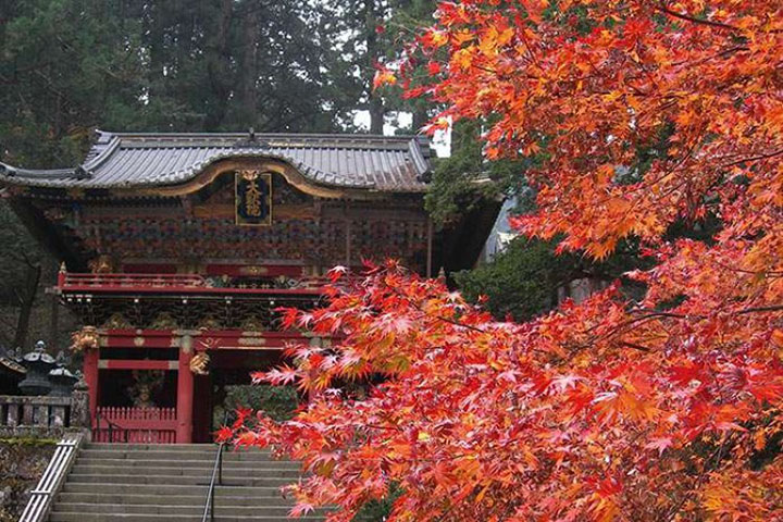 TOUR NHẬT BẢN - GUNMA NIKKO MÙA THU LÁ ĐỎ