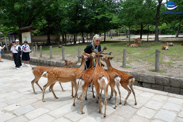 Công viên Nai Nara