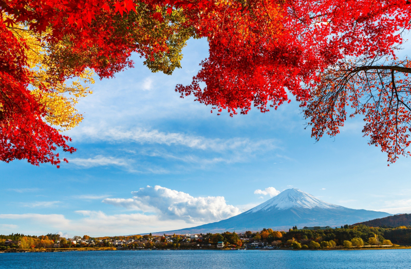 TOUR NHẬT BẢN - TOKYO PHÚ SĨ MÙA THU